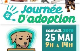 Journée d'adoption animaux