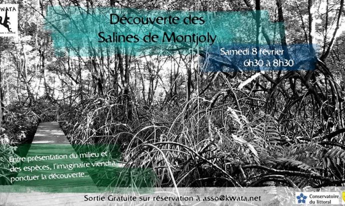 DÉCOUVERTE SALINES DE MONTJOLY